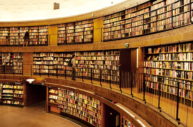 velká knihovna
